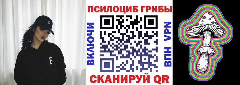 Галлюциногенные грибы Psilocybe Чегем